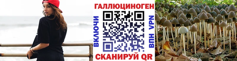 Галлюциногенные грибы Magic Shrooms  наркотики  Абдулино 